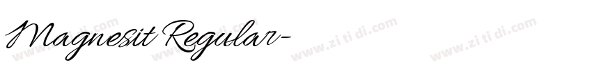 Magnesit Regular字体转换